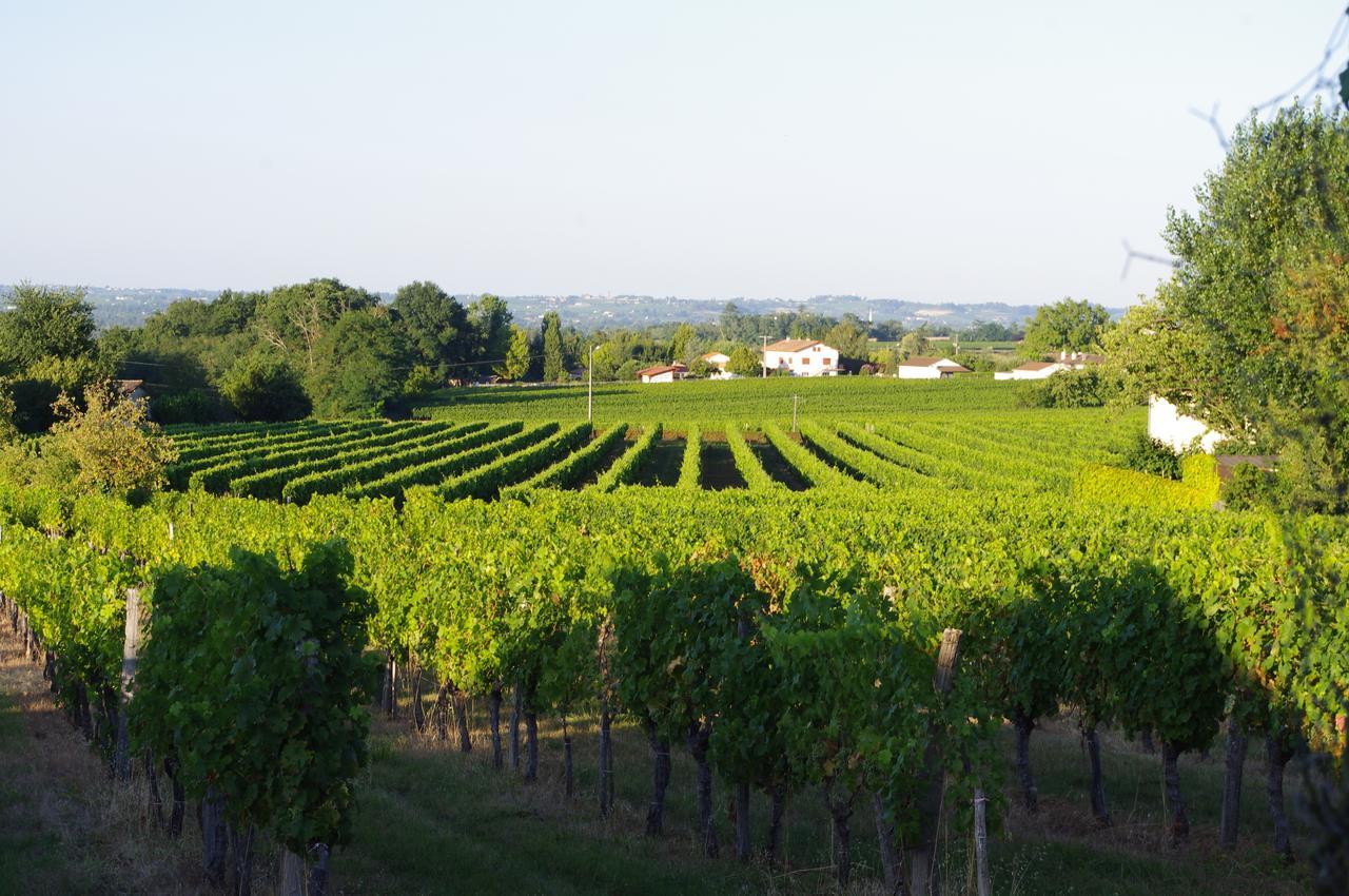Готель Domaine Mongiron Nerigean Екстер'єр фото